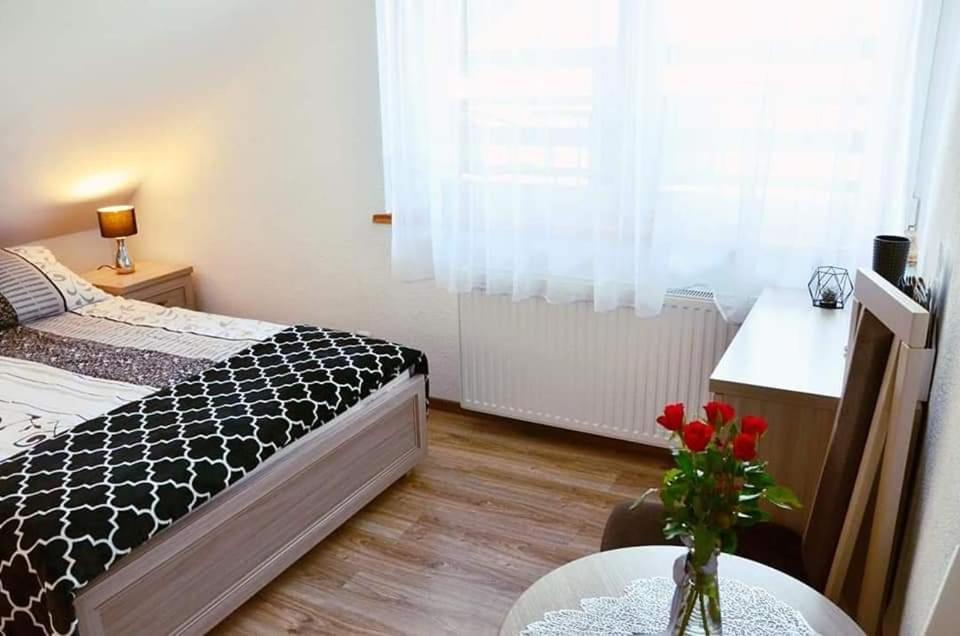 Pokoje Goscinne "Trudzin-Ski" Świeradów-Zdrój Exterior foto